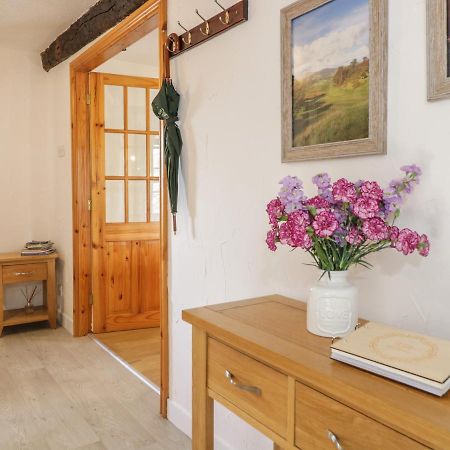 Cyffdy Cottage - Tegid บาลา ภายนอก รูปภาพ